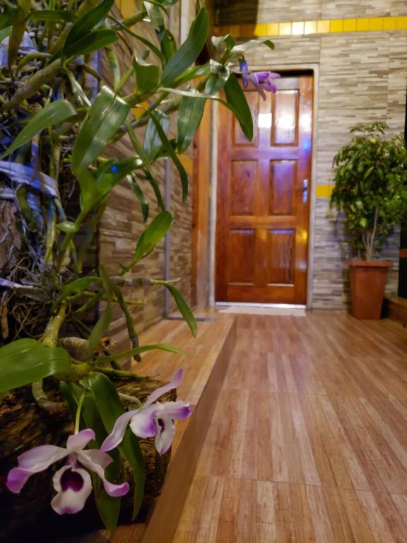 a hallway with a wooden door and some plants at HOTEL TRAVEL Encarnación in Encarnación