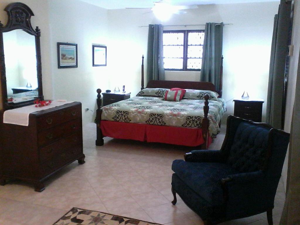 ein Schlafzimmer mit einem Bett, einem Stuhl und einem Spiegel in der Unterkunft Gillys Dream in Nassau