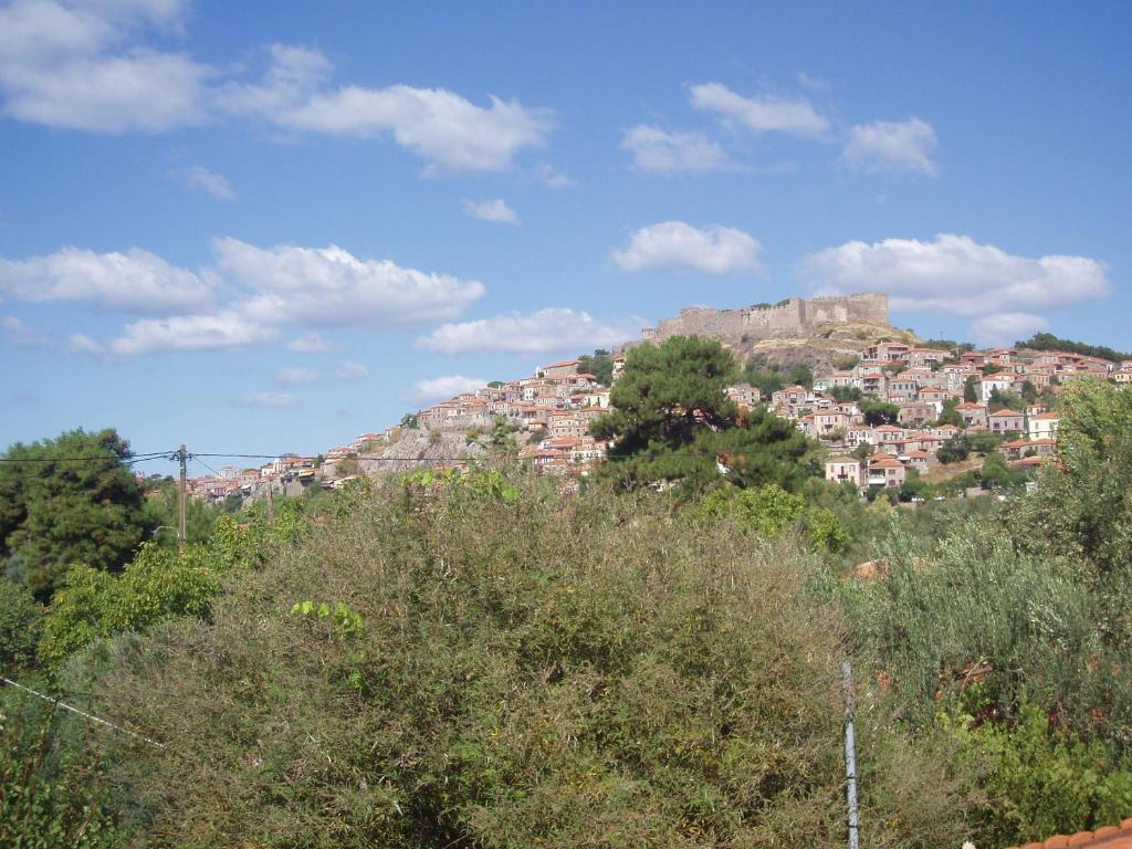 Eleni Studios & Apartments - 12