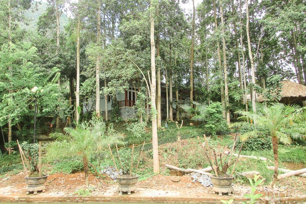 Zahrada ubytování Truong Xuan Ecology