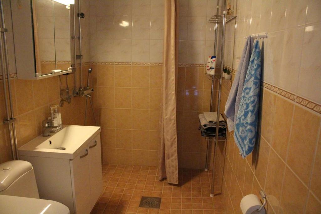 Koupelna v ubytování City centre apartment Siilinjärvi