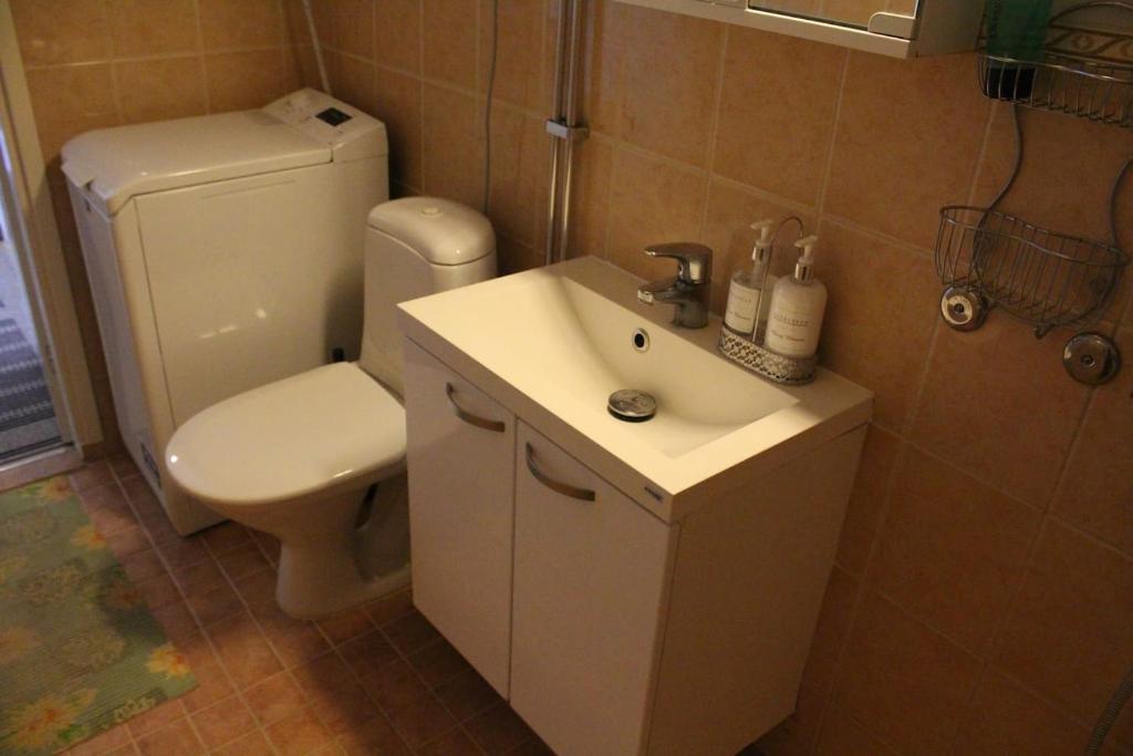 Koupelna v ubytování City centre apartment Siilinjärvi