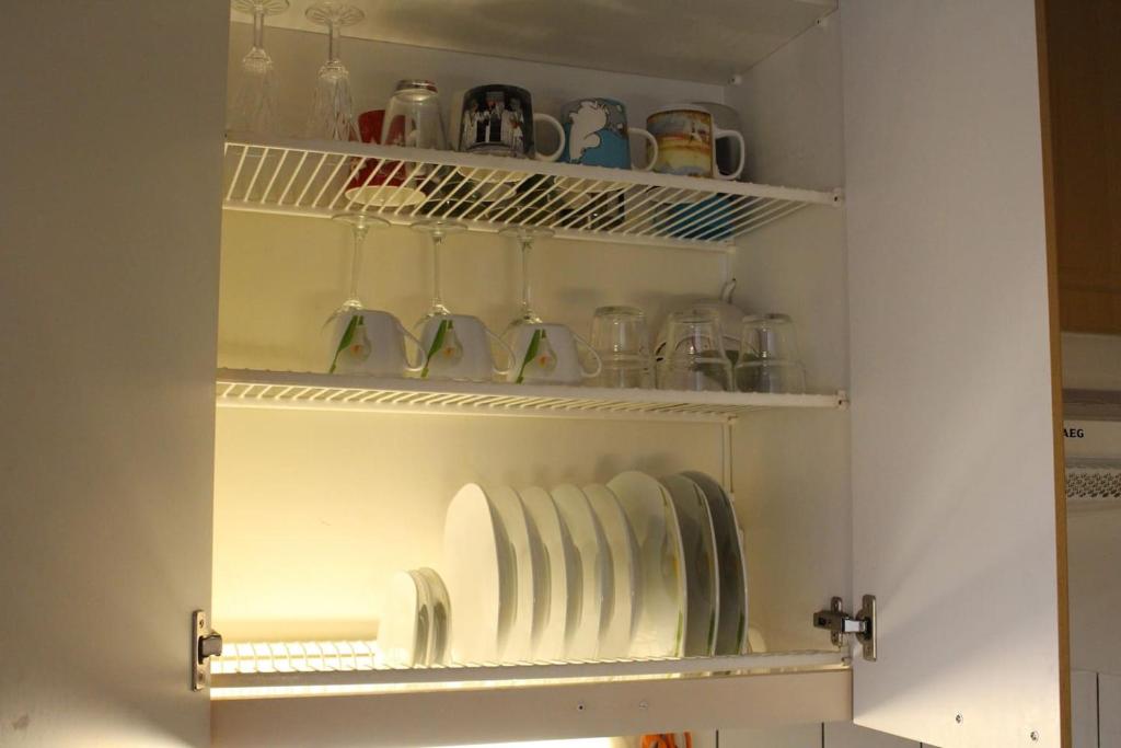 Kuchyň nebo kuchyňský kout v ubytování City centre apartment Siilinjärvi