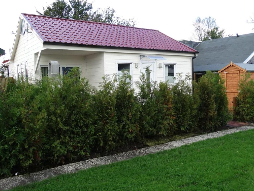 una casa blanca con techo rojo y algunos arbustos en Ferienpark Vislust Haus Antje 2 Niederlande Ijsselmeer, en Wervershoof