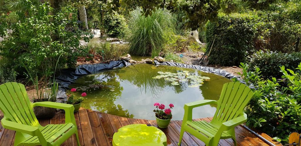 two green chairs sitting in front of a pond at Le Mas di Ro in Saint-Martin-dʼArdèche