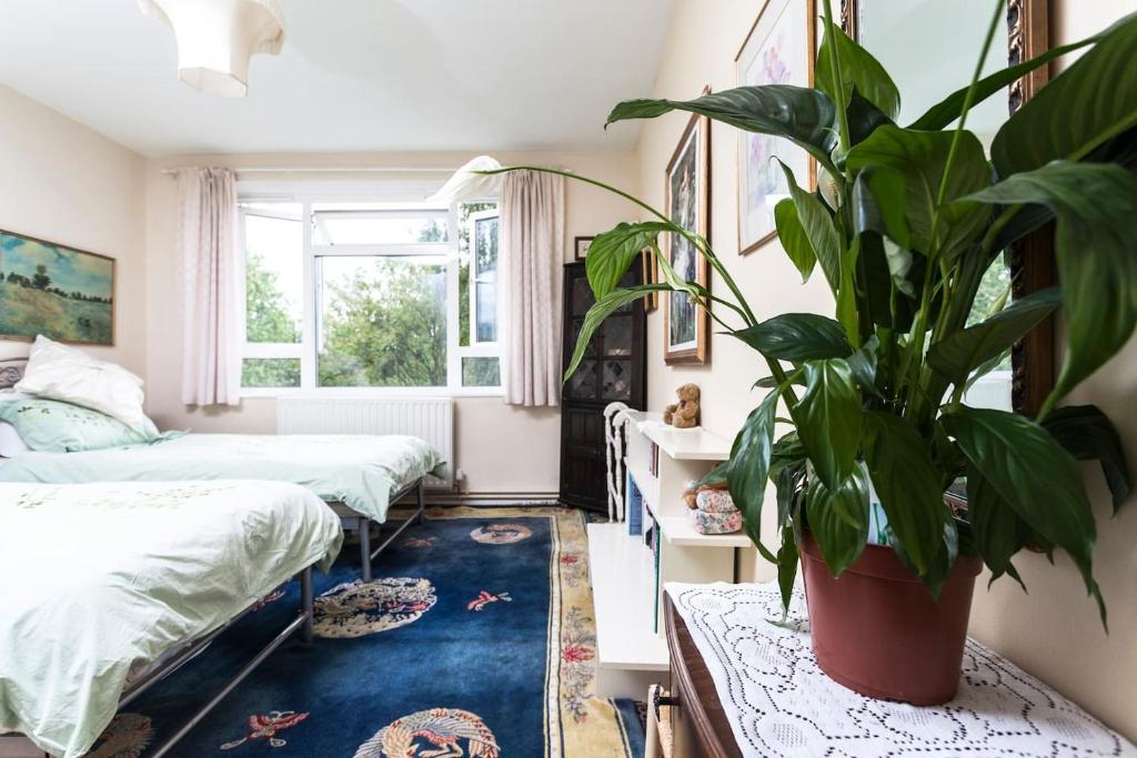 - une chambre avec deux lits et une plante en pot dans l'établissement chez Guinevere, à Londres