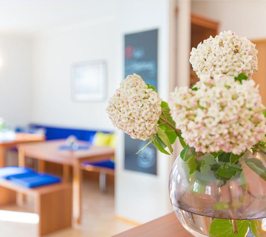 Fotografie z fotogalerie ubytování Steigerwaldpension v destinaci Wiesentheid