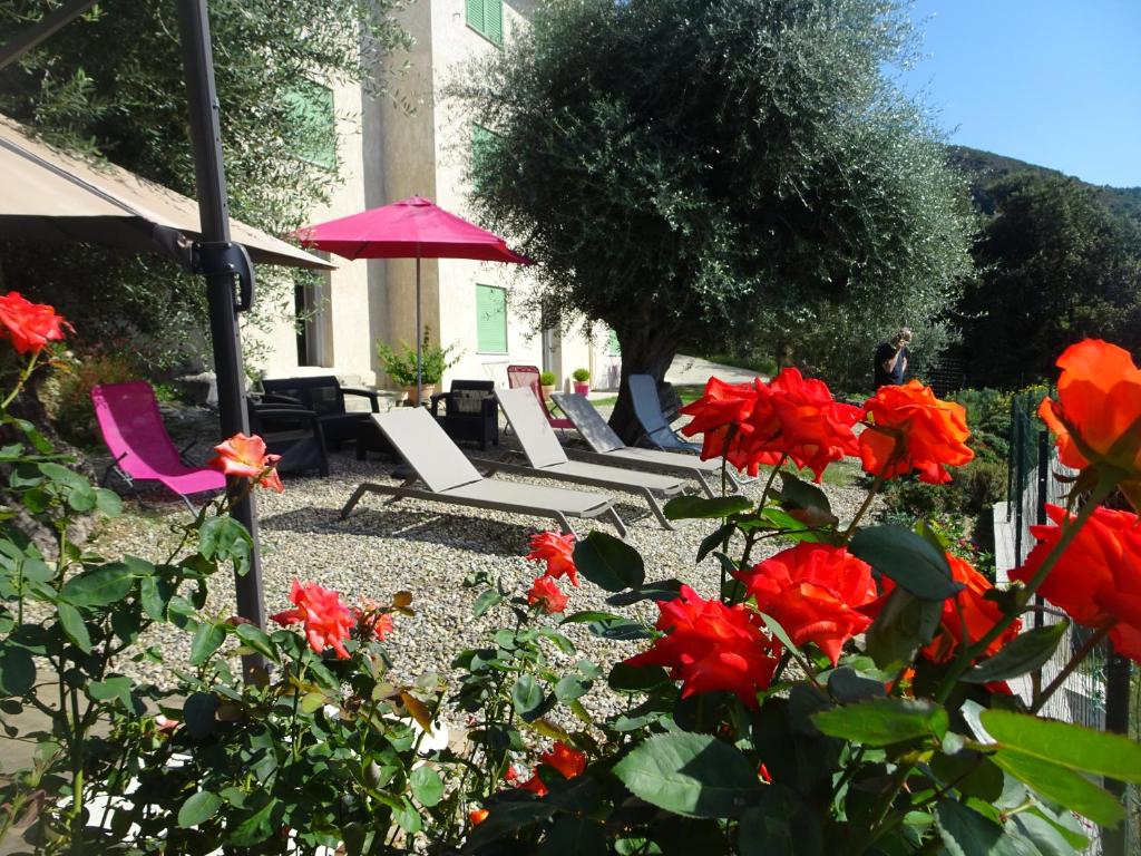 location farinole proche saint-florent في Farinole: مجموعة كراسي وورود حمراء في ساحة