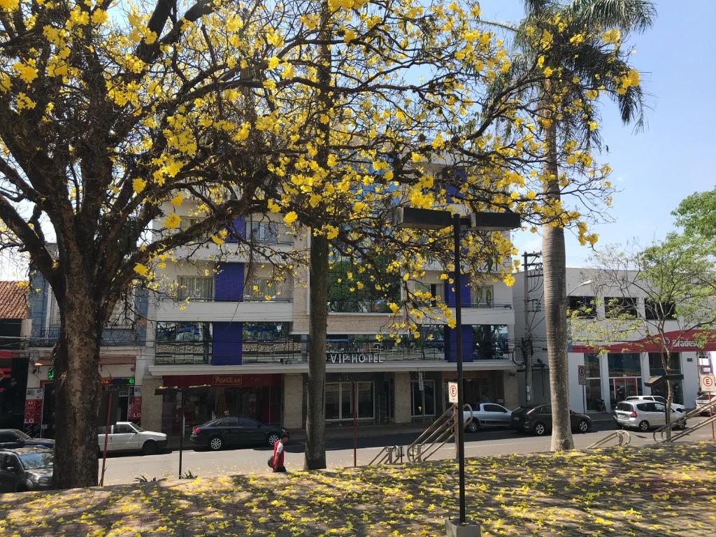 a tree with yellow leaves in front of a building at Vip Hotel in Jaú