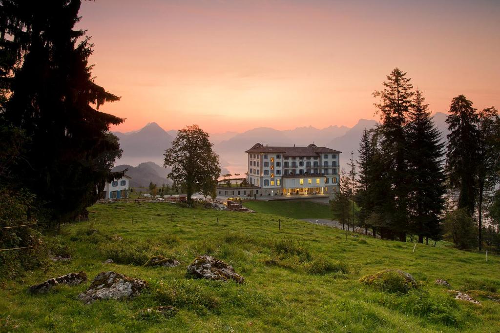 Příroda nedaleko hotelu