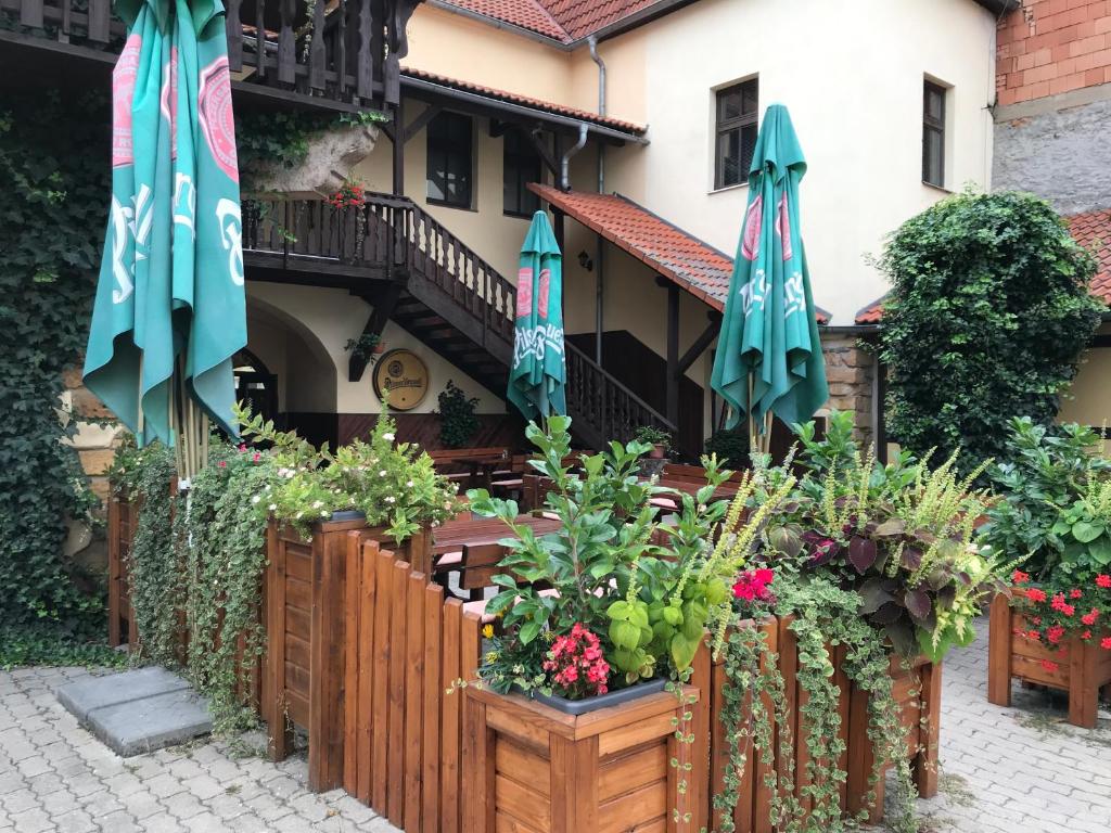 Zahrada ubytování Hotel U Dvou medvídků