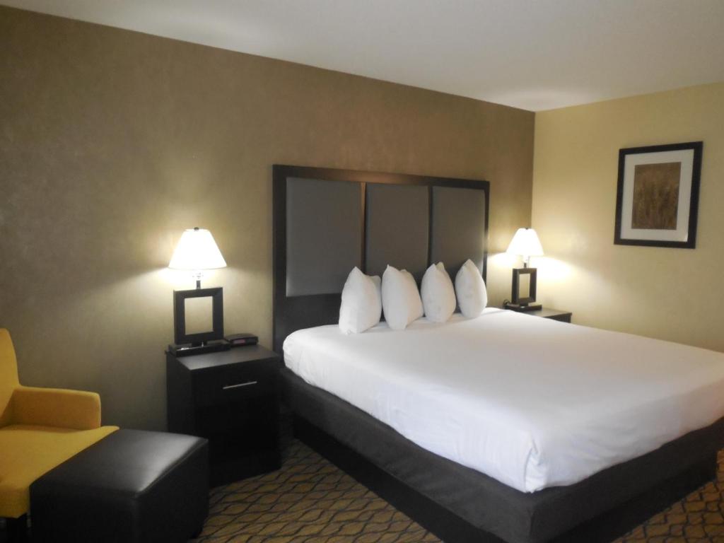 Baymont by Wyndham Bridgeport/Frankenmuth - Suite 1 Chambre Lit King-Size - Non-Fumeurs