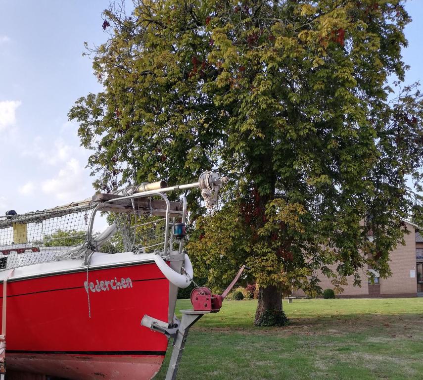 een rode boot staat geparkeerd naast een boom bij Domizil & Dümmer in Lembruch