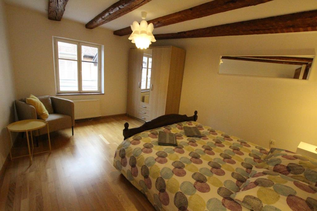 Colmar Historic Center - Alsacian Appartement PETITE VENISE 2 - BookingAlsace – photo 11