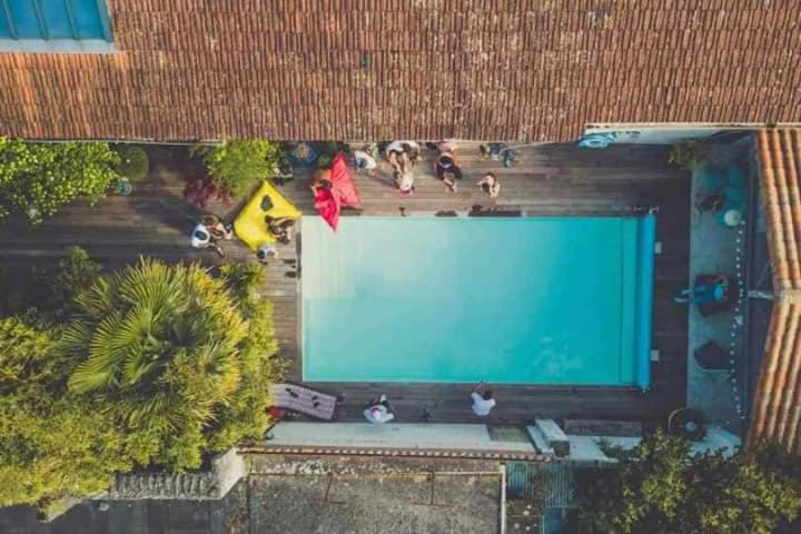 una vista aérea de una piscina con perros a su alrededor en Buky Palace, en Pons