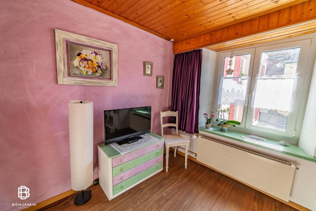 TV a/nebo společenská místnost v ubytování Pension Chesselberg