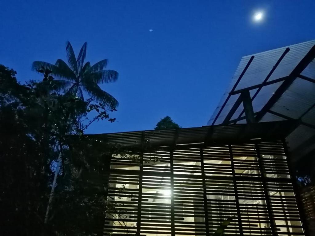 Foto dalla galleria di Palmayacu - Refugio Amazónico a Leticia