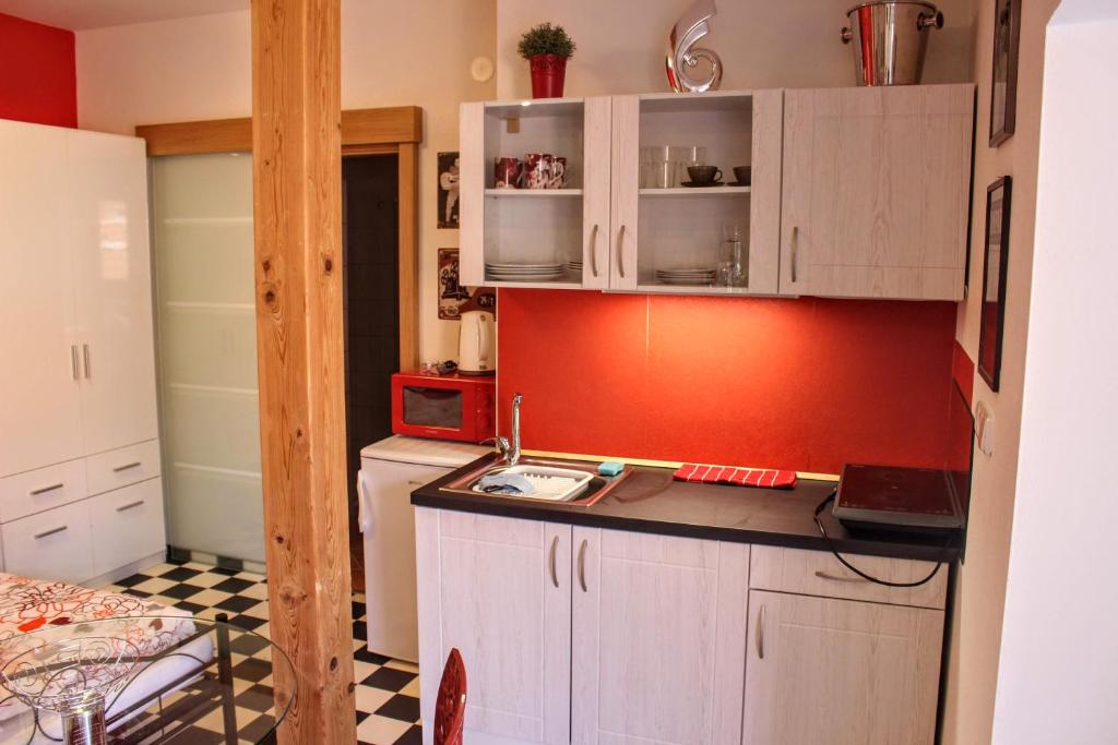 Kuchyň nebo kuchyňský kout v ubytování Apartmá Za kopcem