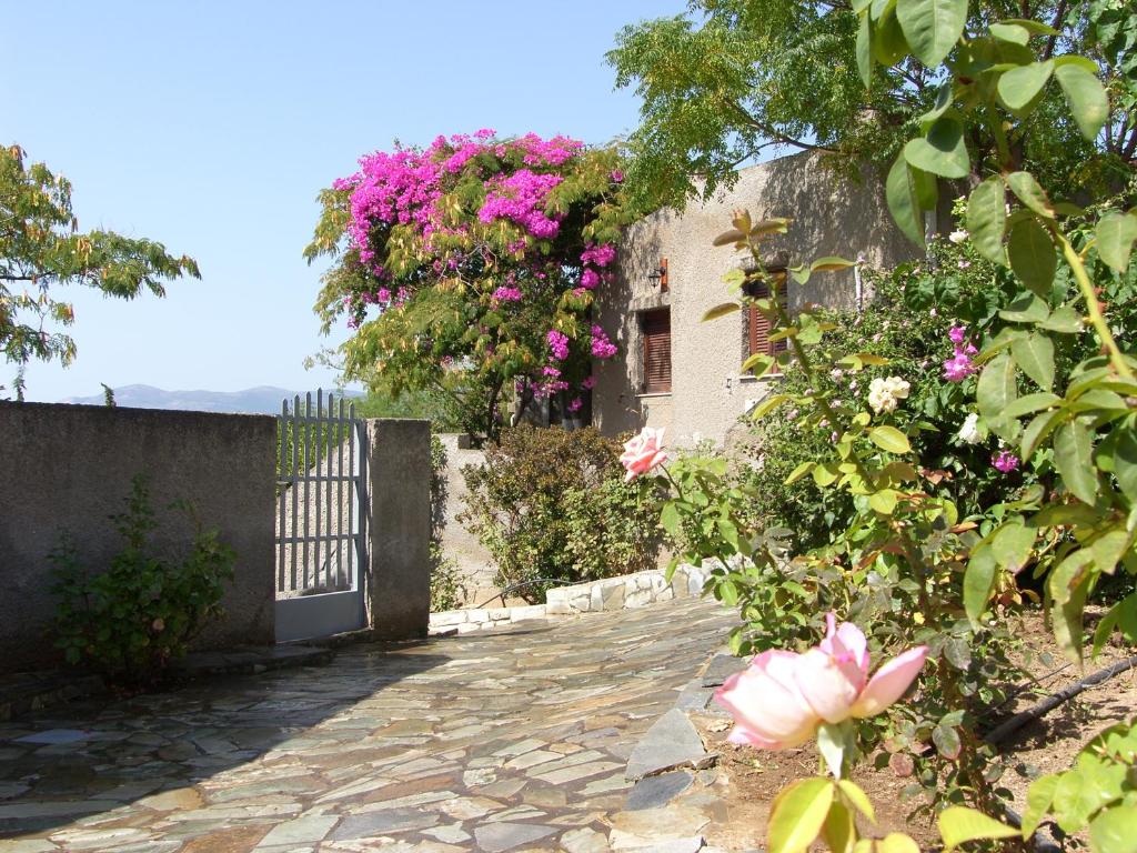 A garden outside Cavo Grosso Bungalows