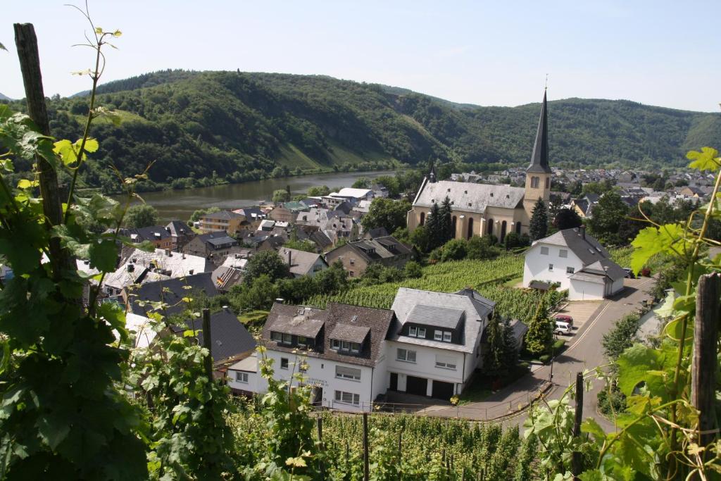 a small town with a river and a church at Gästehaus Kirchlay in Kröv