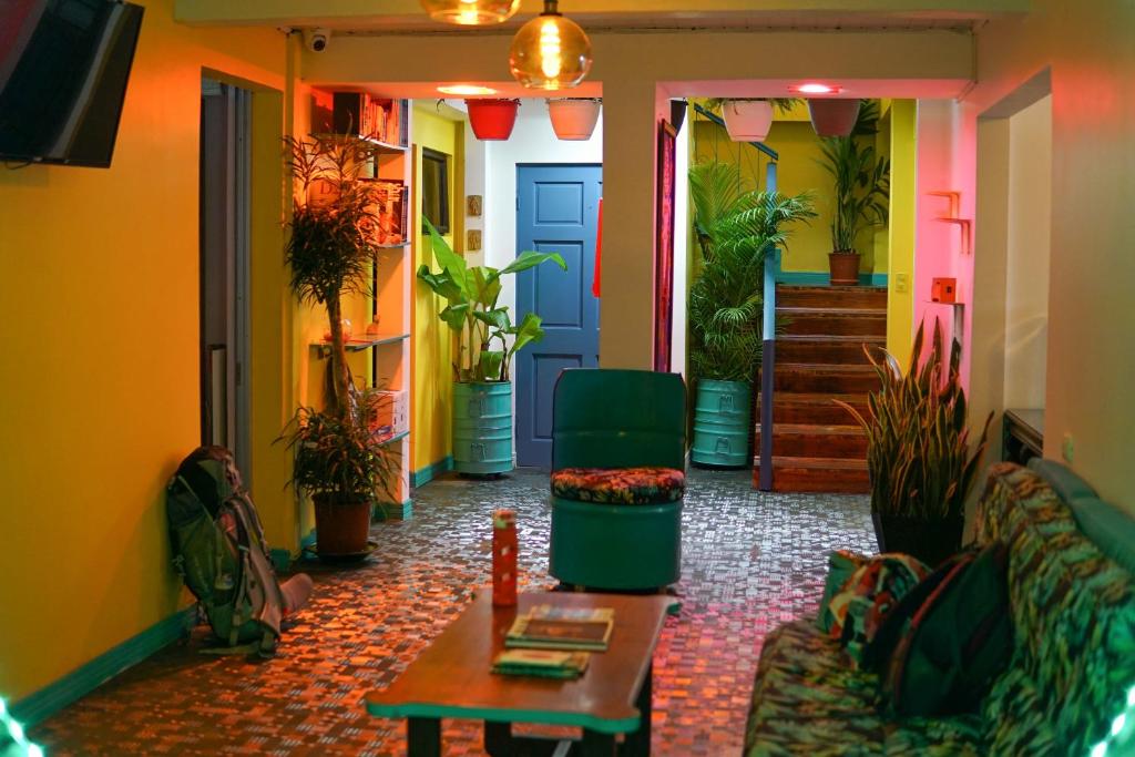 a living room filled with lots of potted plants at NATIVUS Art-Hostel in San José