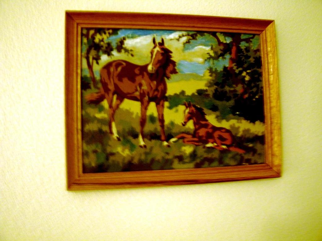 Zvířata v motelu nebo okolí