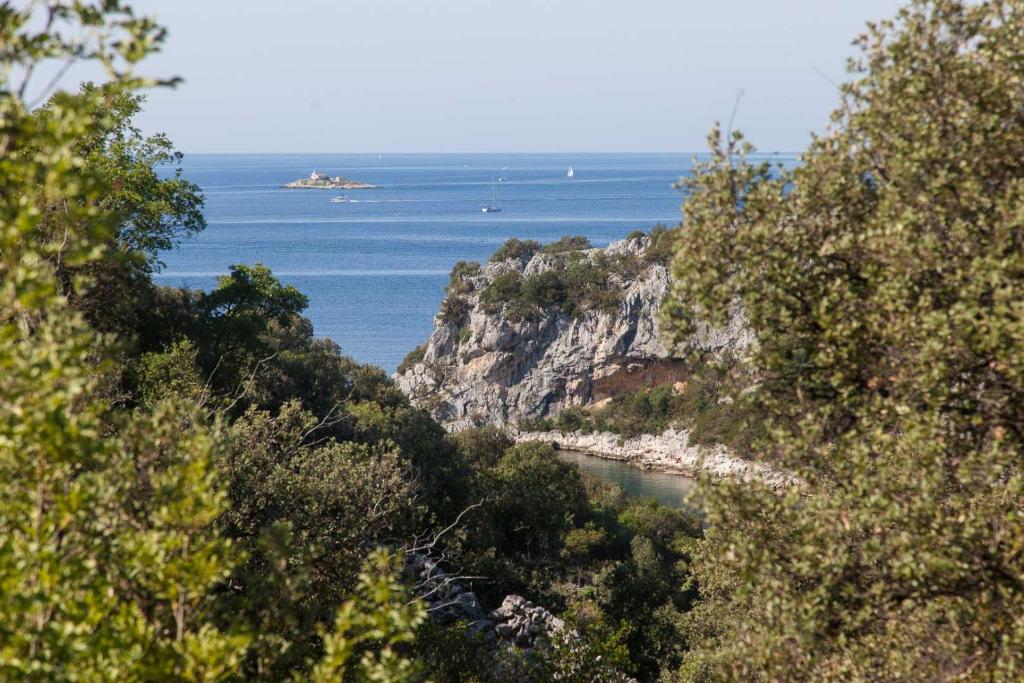 Príroda v okolí dovolenkového domu