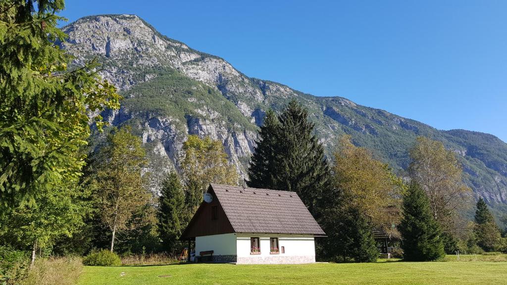 Chalet in Ukanc aan het meer van Bohinj
