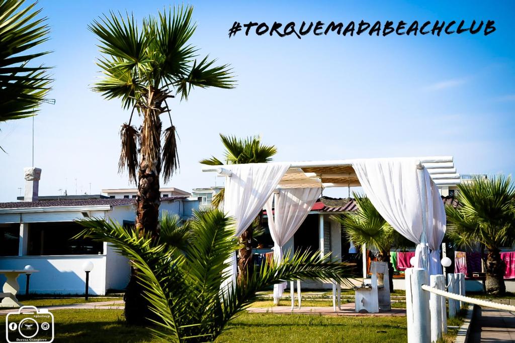 a palm tree in front of a building at torquemada beach club in Margherita di Savoia