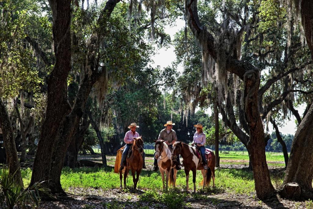 three people riding horses in a forest of trees at Westgate River Ranch Resort & Rodeo in River Ranch