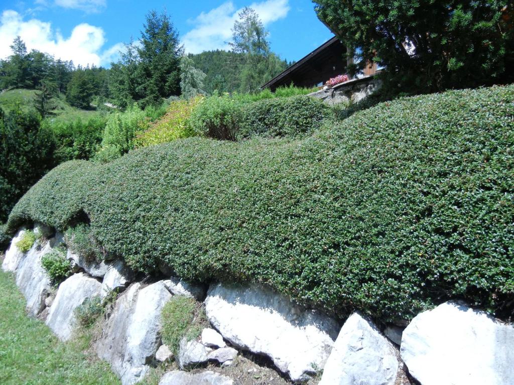 Giardino di Privathaus Achensee
