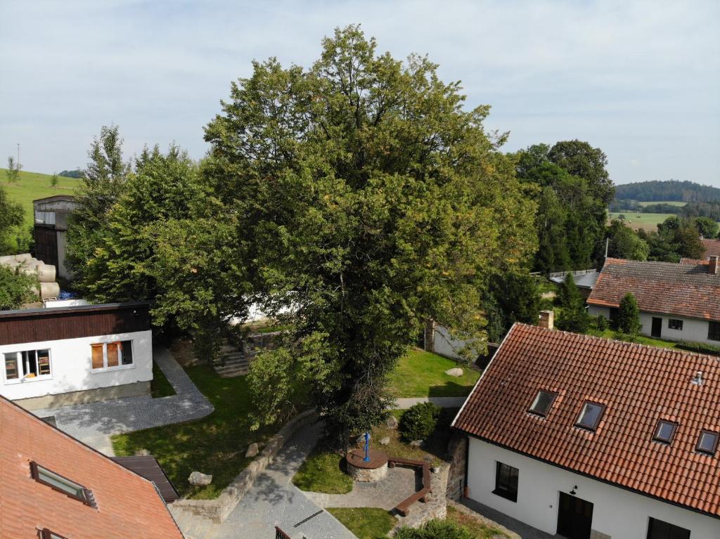 Příroda nedaleko penzionu