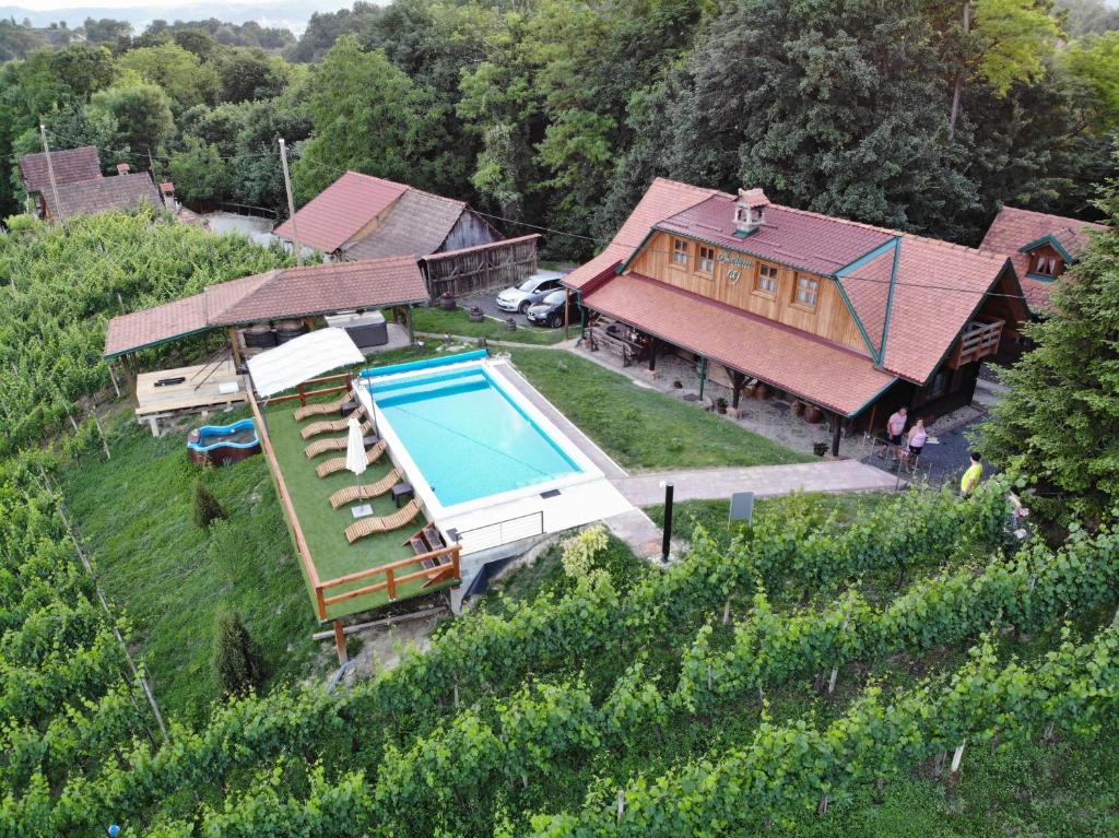 an aerial view of a house with a swimming pool in a vineyard at Lodge Green paradise in Klanjec