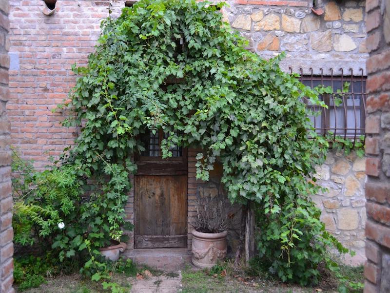 Zahrada ubytování Agriturismo Borgo Santa Maria