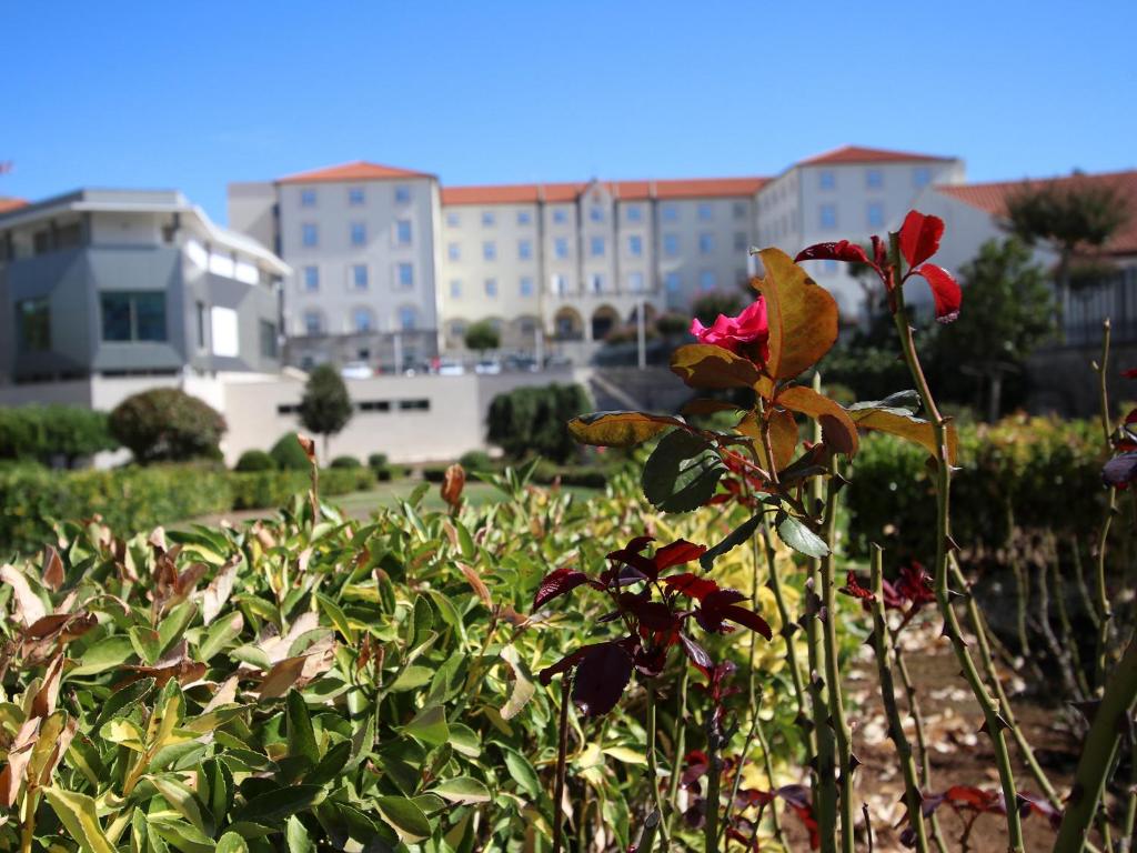 Consolata Hotel - Resim 22