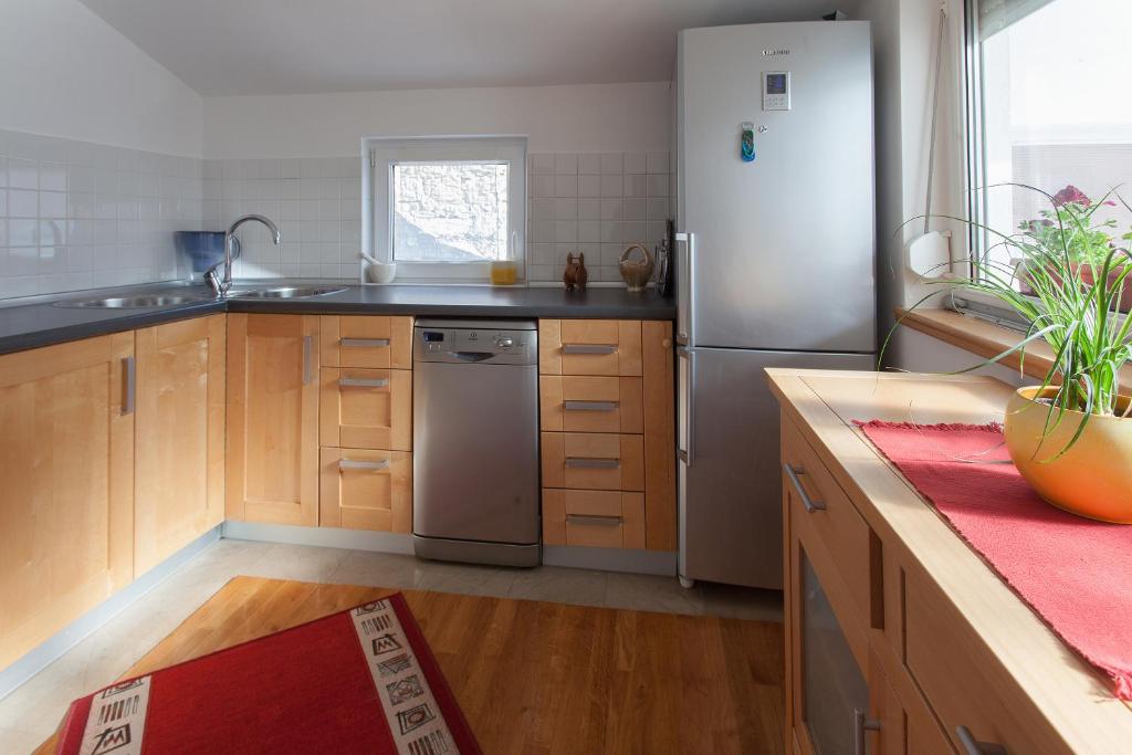 Kuchyň nebo kuchyňský kout v ubytování Guesthouse Rota