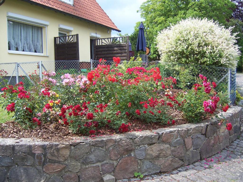 Zahrada ubytování Haus am Roseneck