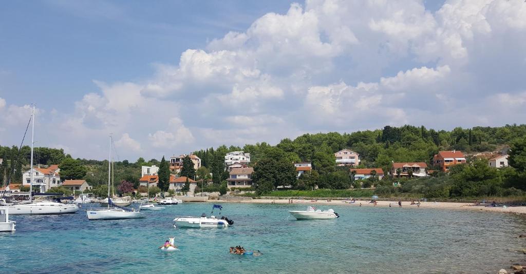 eine Gruppe von Booten im Wasser in der Nähe eines Strandes in der Unterkunft Milica Garden in Prvić Šepurine