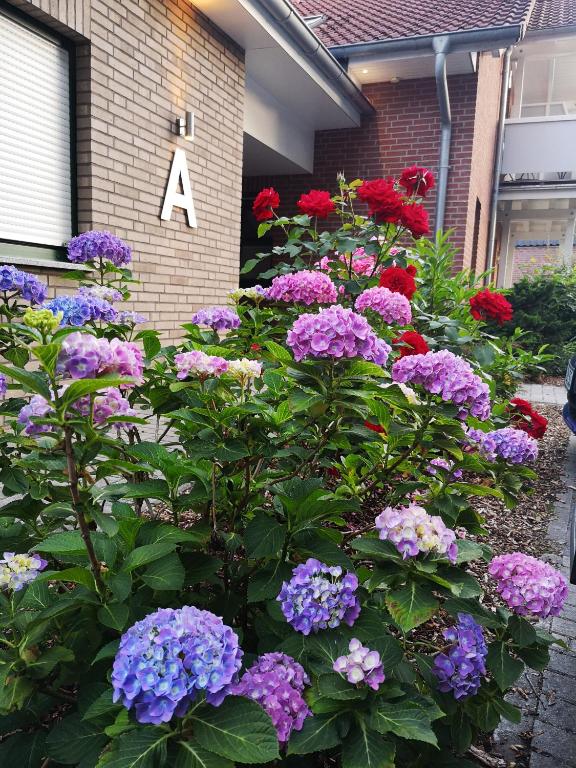 Zahrada ubytování Hotel Dat greune Eck