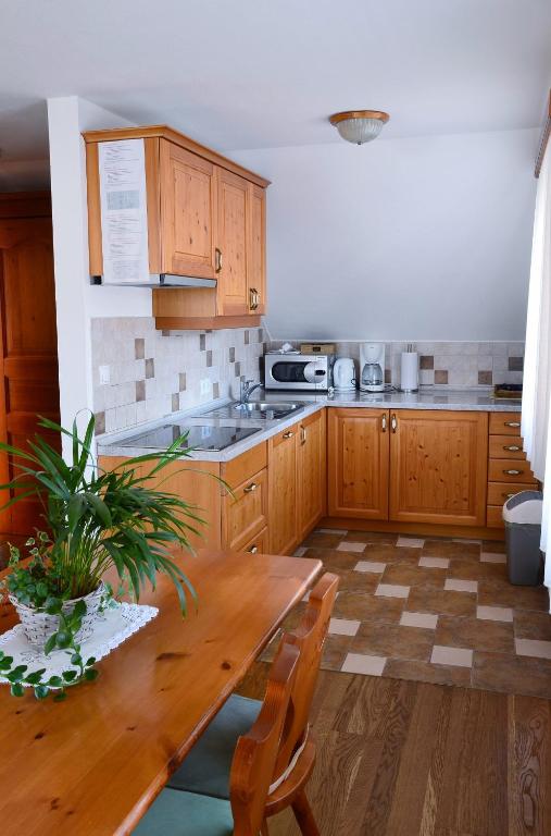 Kuchyň nebo kuchyňský kout v ubytování Apartma in Bungalov Jezerci