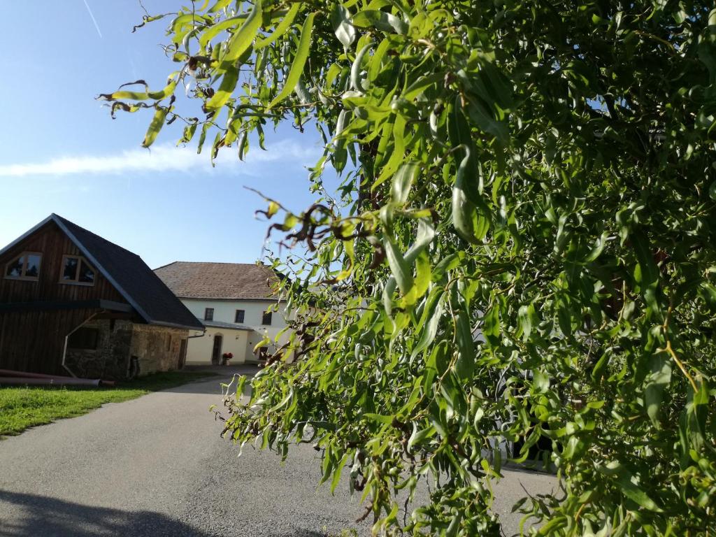 The building in which the holiday home is located