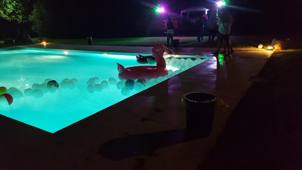Bazén v ubytování Villa Ghia nebo v jeho okolí