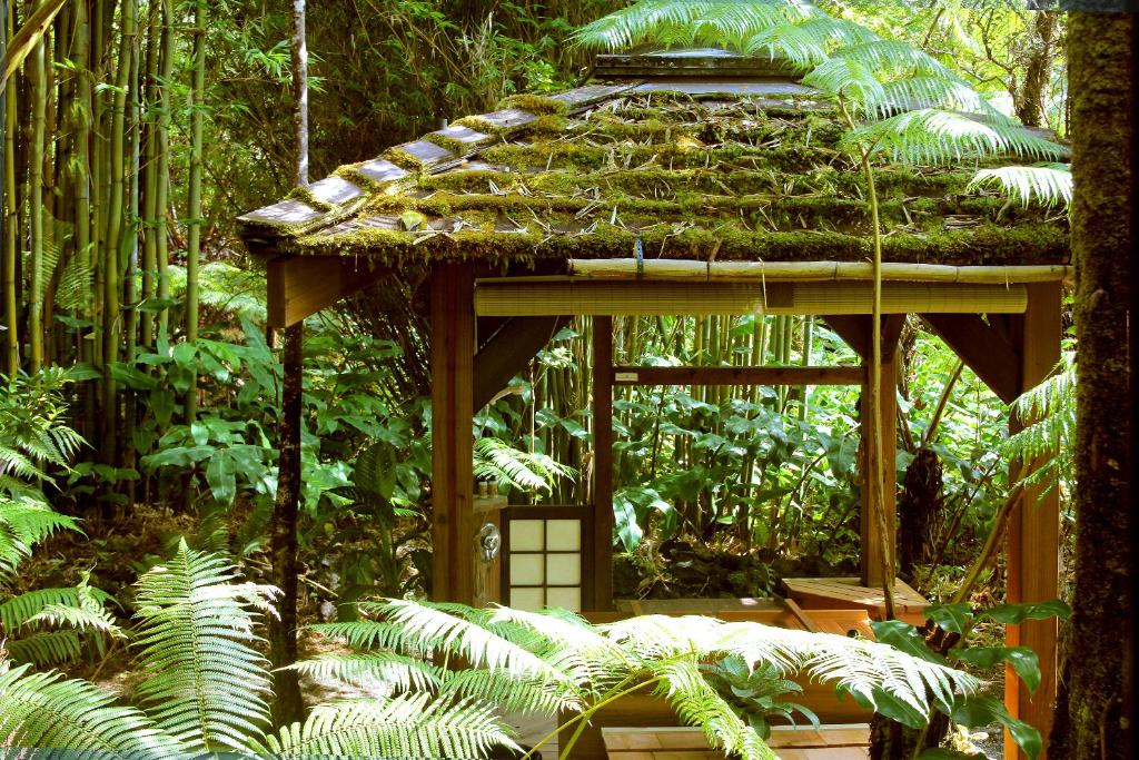 Zahrada ubytování Volcano Rainforest Retreat