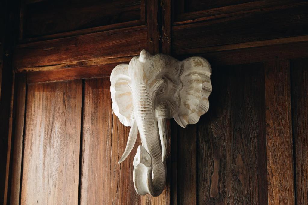 White Tortoise Eco Villa's - 12