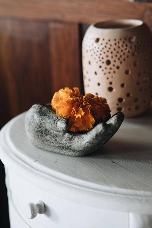 White Tortoise Eco Villa's - 4