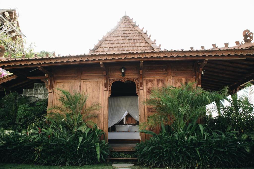 White Tortoise Eco Villa's - 2