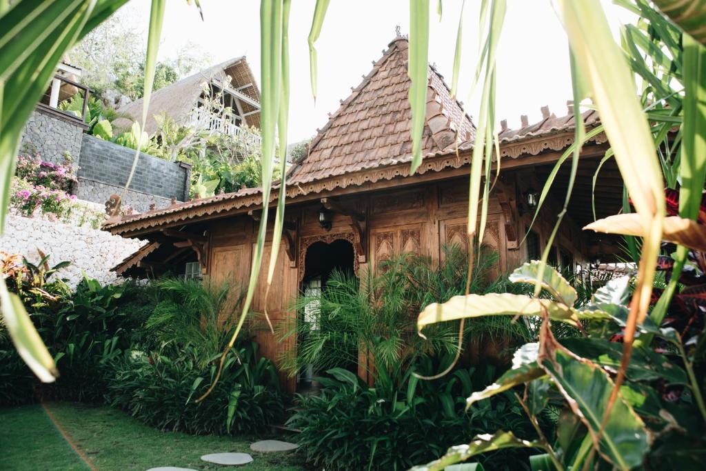 White Tortoise Eco Villa's - 19