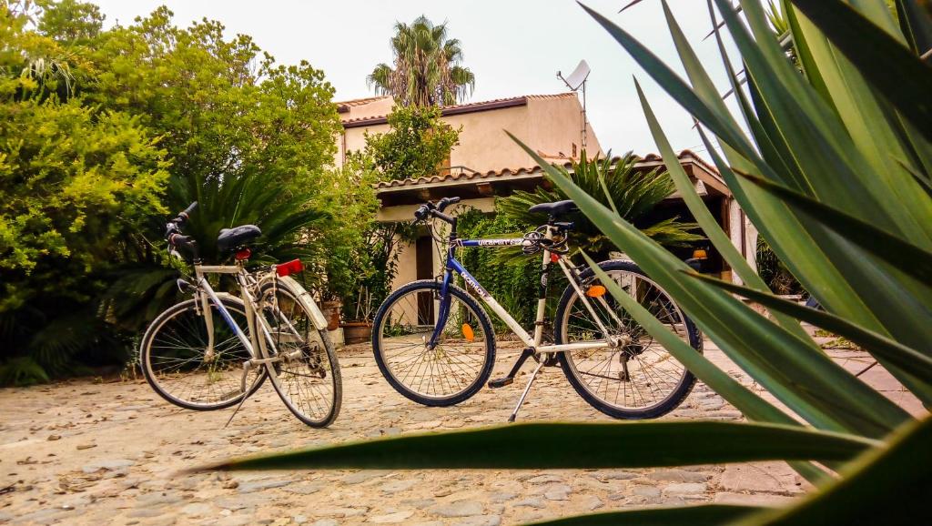 Jízda na kole v ubytování Alghero in bicicletta nebo okolí