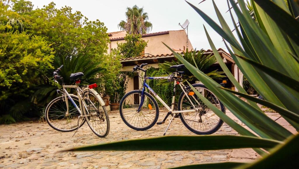 due biciclette parcheggiate l'una accanto all'altra in una strada di Alghero in bicicletta ad Alghero