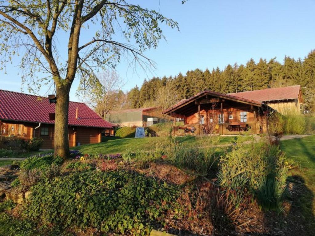 domek z drzewem i domem w obiekcie Ferienhof Pfeiffer w mieście Buchen